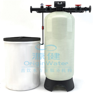 ����ˮ�豸-10T/Hȫ�Զ�����ˮ�豸-ORG-WT-10